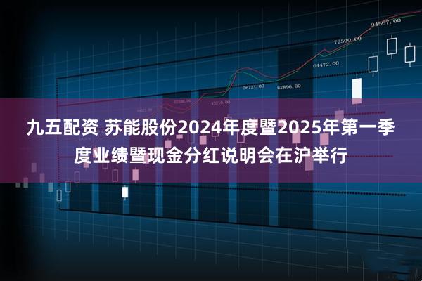 九五配资 苏能股份2024年度暨2025年第一季度业绩暨现金分红说明会在沪举行