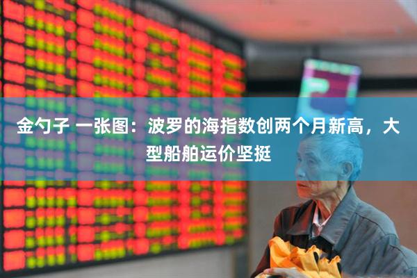 金勺子 一张图：波罗的海指数创两个月新高，大型船舶运价坚挺