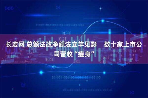 长宏网 总额法改净额法立竿见影    数十家上市公司营收“瘦身”
