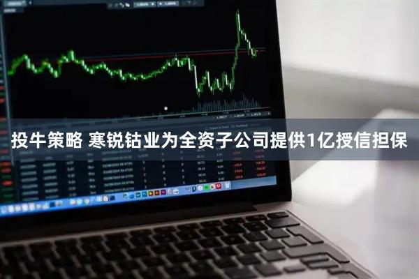 投牛策略 寒锐钴业为全资子公司提供1亿授信担保