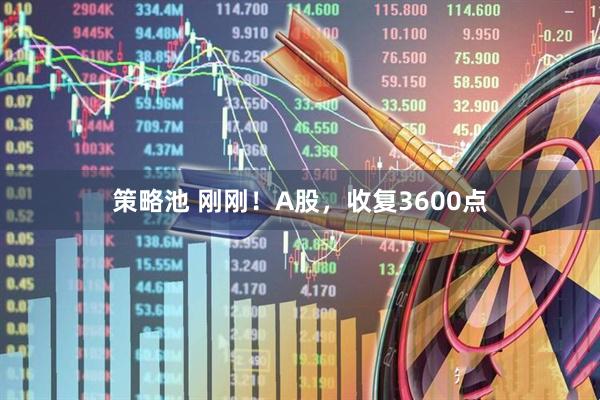 策略池 刚刚！A股，收复3600点