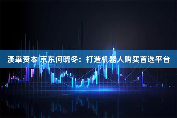 漢崋资本 京东何晓冬：打造机器人购买首选平台