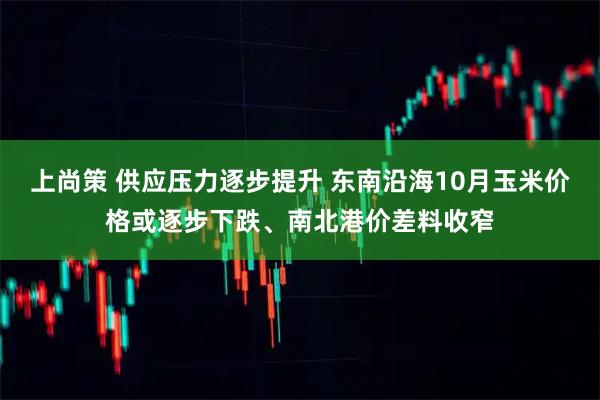上尚策 供应压力逐步提升 东南沿海10月玉米价格或逐步下跌、南北港价差料收窄