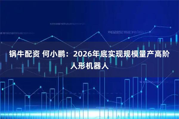 锅牛配资 何小鹏:2026年底实现规模量产高阶人形机器人